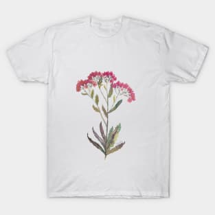 Achillea T-Shirt